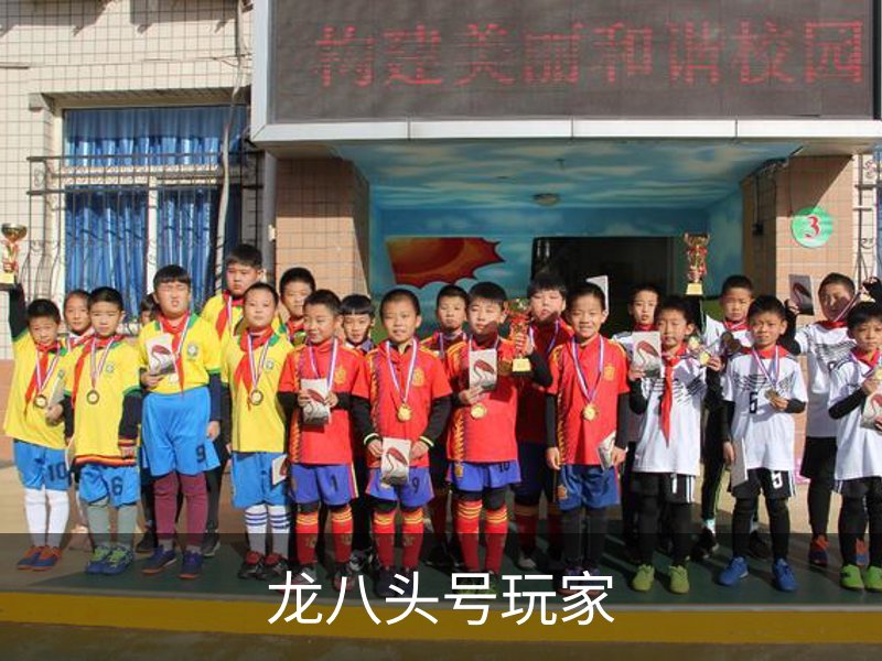 龙八头号玩家品牌故事